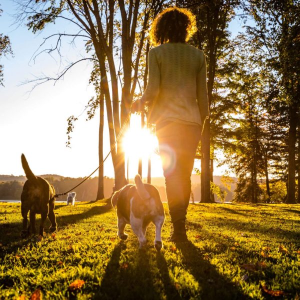 istock-622543690-1 istock-622543690-1