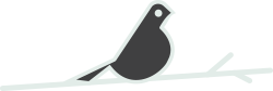 one-bird