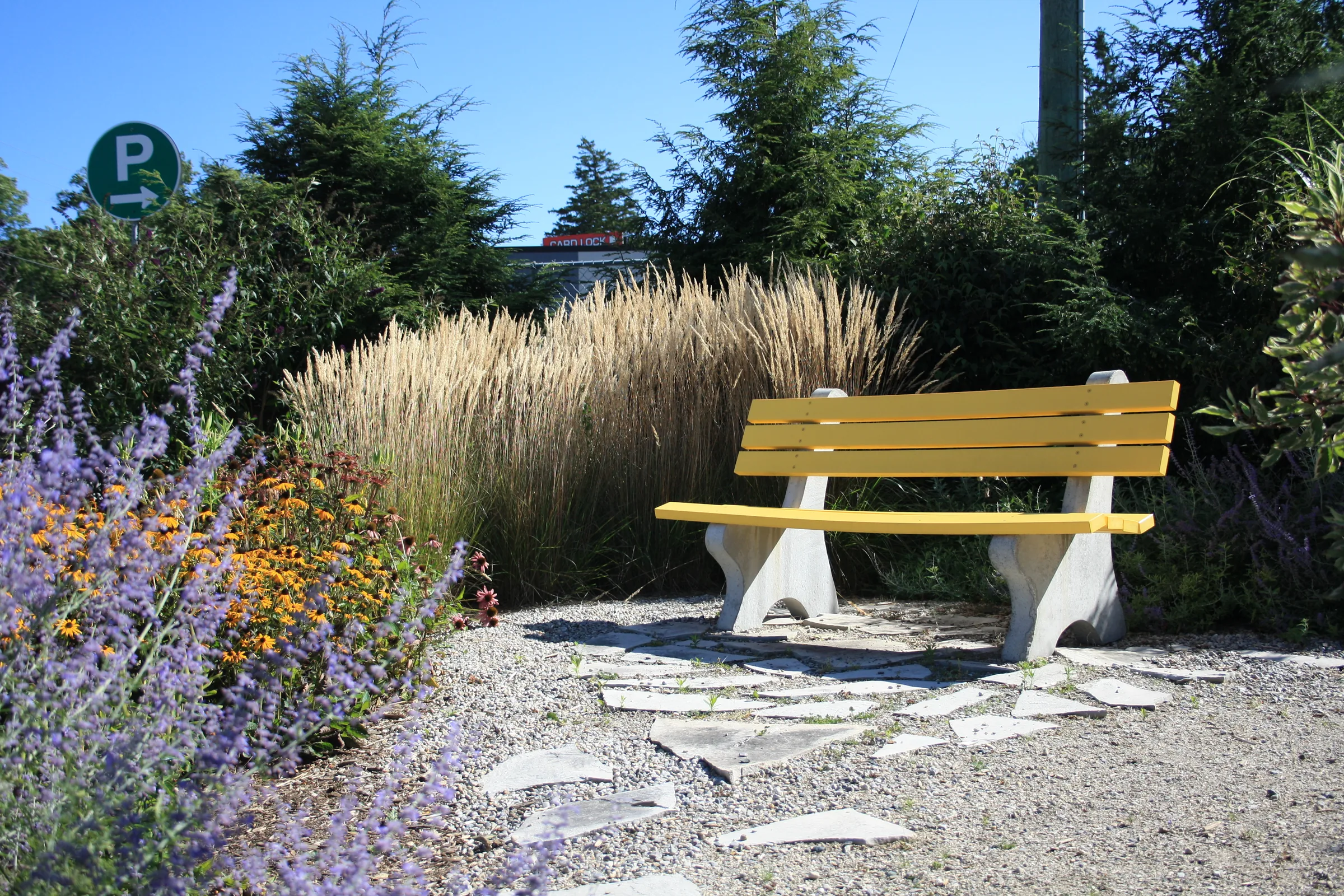 Yellow bench in a garden in Embro