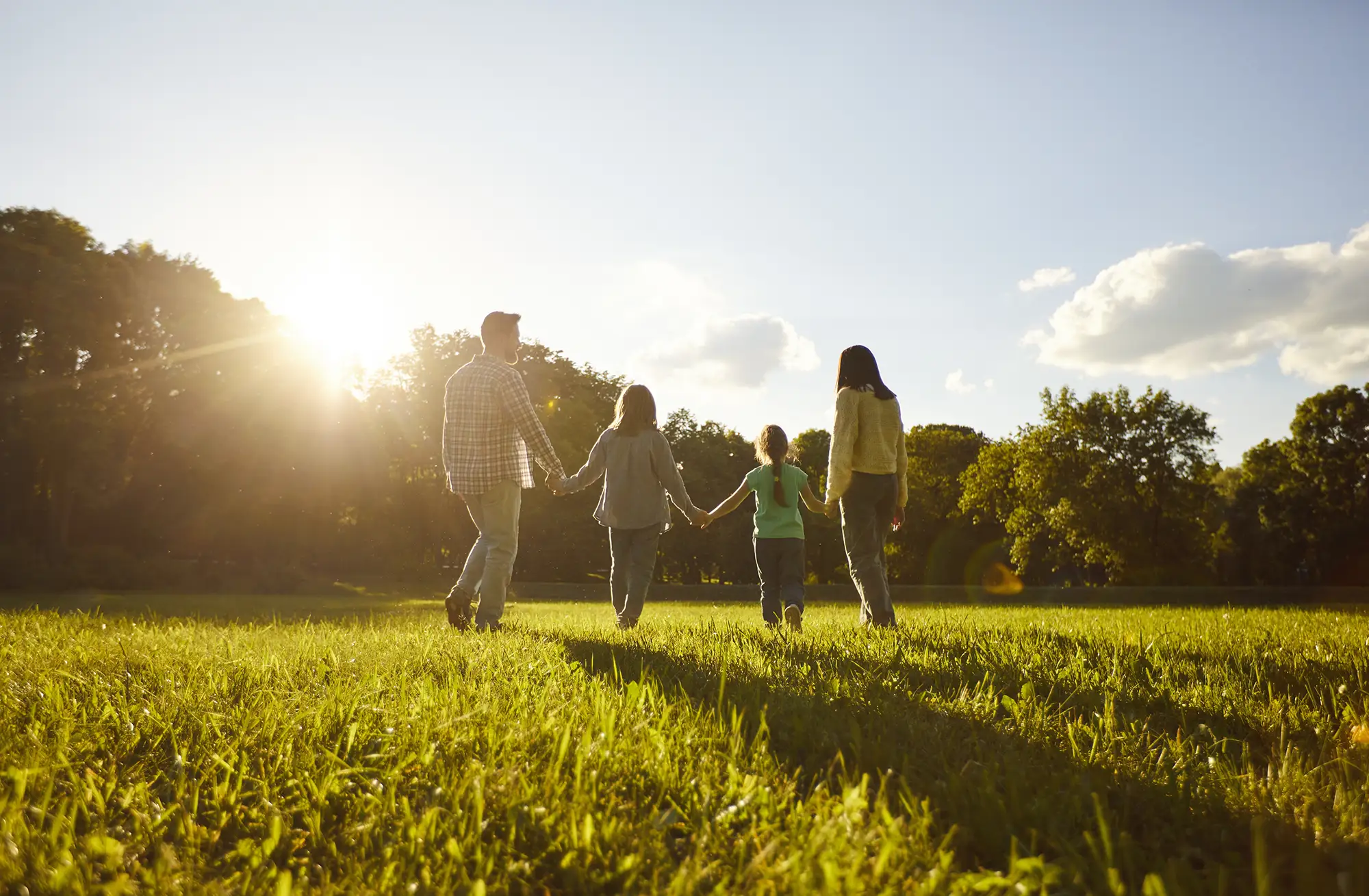 Family walking hand in hand across a sunny field